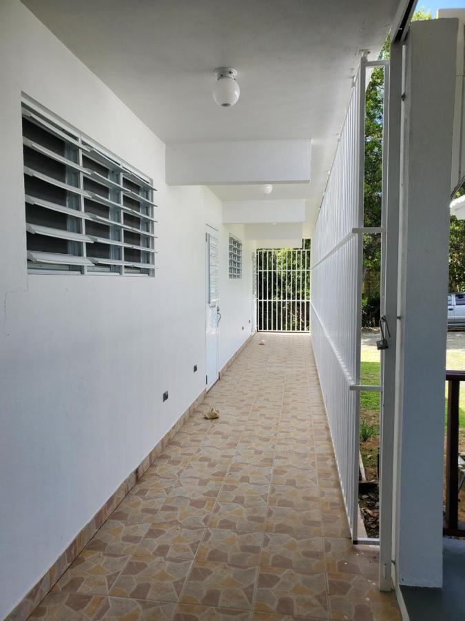 Crab Island Adventures Apartments Vieques Buitenkant foto