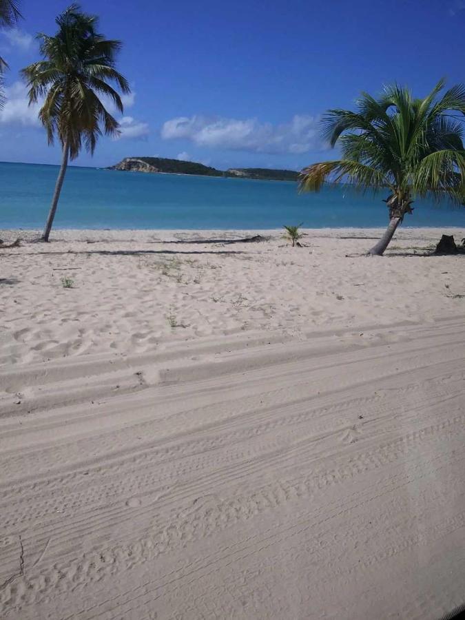 Crab Island Adventures Apartments Vieques Buitenkant foto