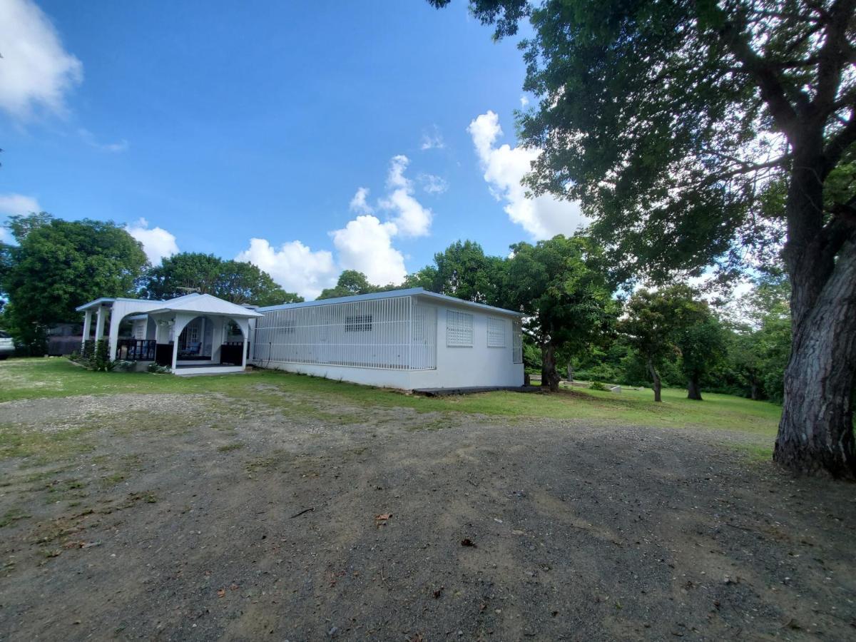 Crab Island Adventures Apartments Vieques Buitenkant foto